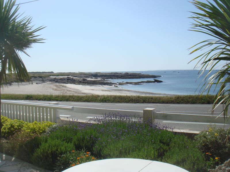 foto 0 Alquiler vacacional entre particulares Quiberon appartement Bretaa Morbihan