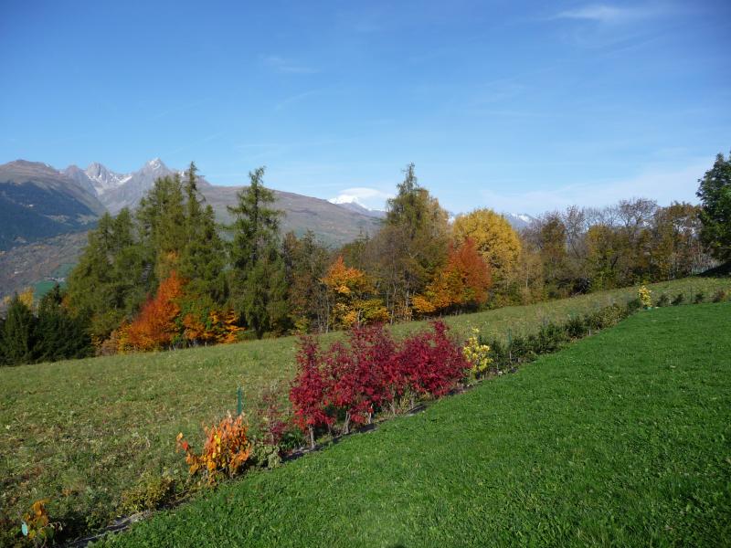 foto 4 Alquiler vacacional entre particulares La Plagne gite Rdano Alpes Saboya Vistas exteriores del alojamiento