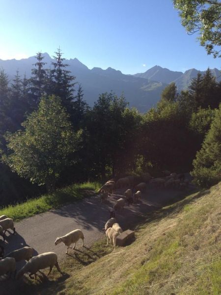 foto 24 Alquiler vacacional entre particulares Les Arcs chalet Rdano Alpes Saboya Vistas desde la terraza