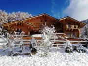 Alquiler chalets vacaciones Peisey-Vallandry: chalet n 2248