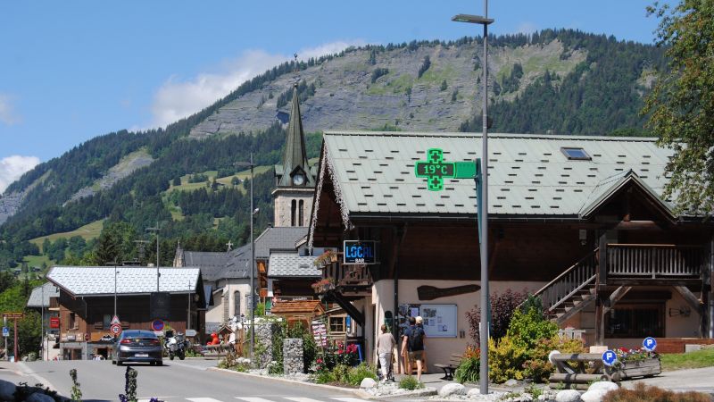 foto 20 Alquiler vacacional entre particulares Praz sur Arly studio Rdano Alpes Alta Saboya Otras vistas