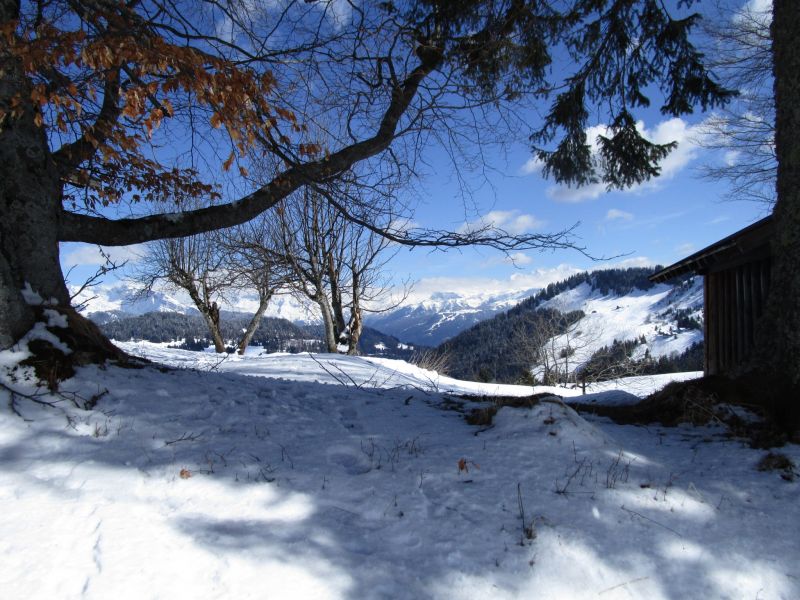 foto 12 Alquiler vacacional entre particulares Praz de Lys Sommand studio Rdano Alpes Alta Saboya