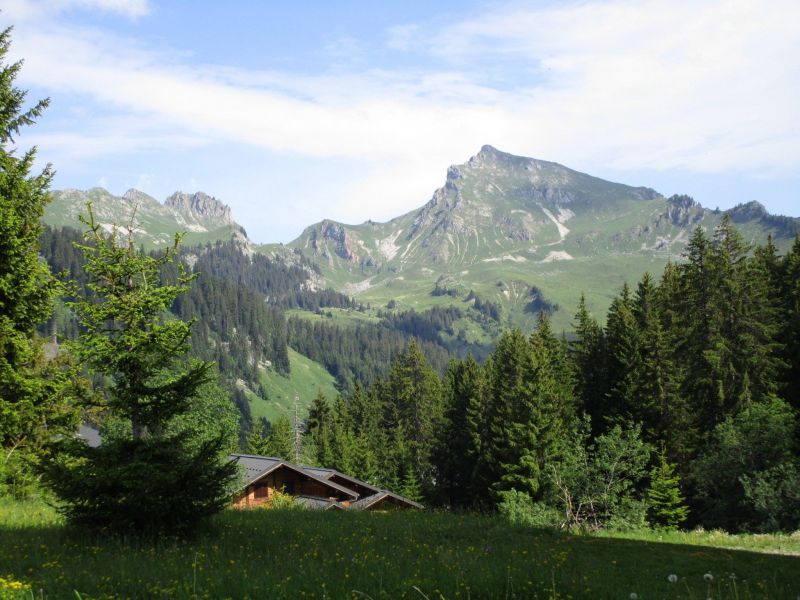 foto 9 Alquiler vacacional entre particulares Praz de Lys Sommand studio Rdano Alpes Alta Saboya