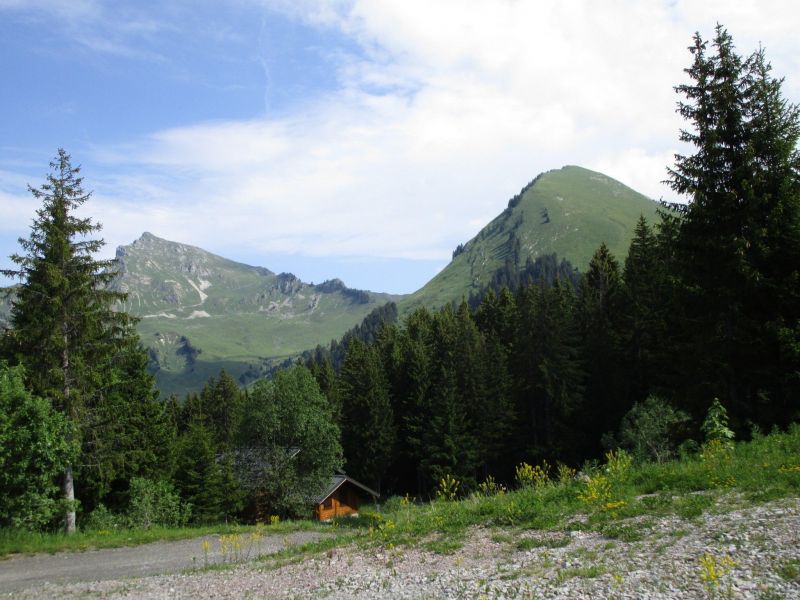 foto 8 Alquiler vacacional entre particulares Praz de Lys Sommand studio Rdano Alpes Alta Saboya