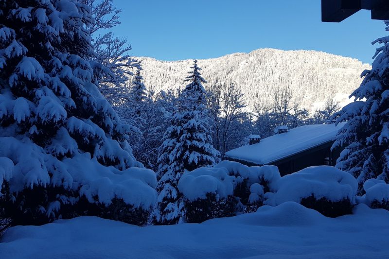 foto 0 Alquiler vacacional entre particulares Megve appartement Rdano Alpes Alta Saboya