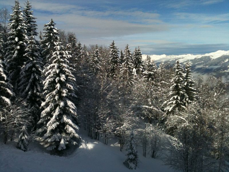 foto 6 Alquiler vacacional entre particulares Les Arcs studio Rdano Alpes Saboya