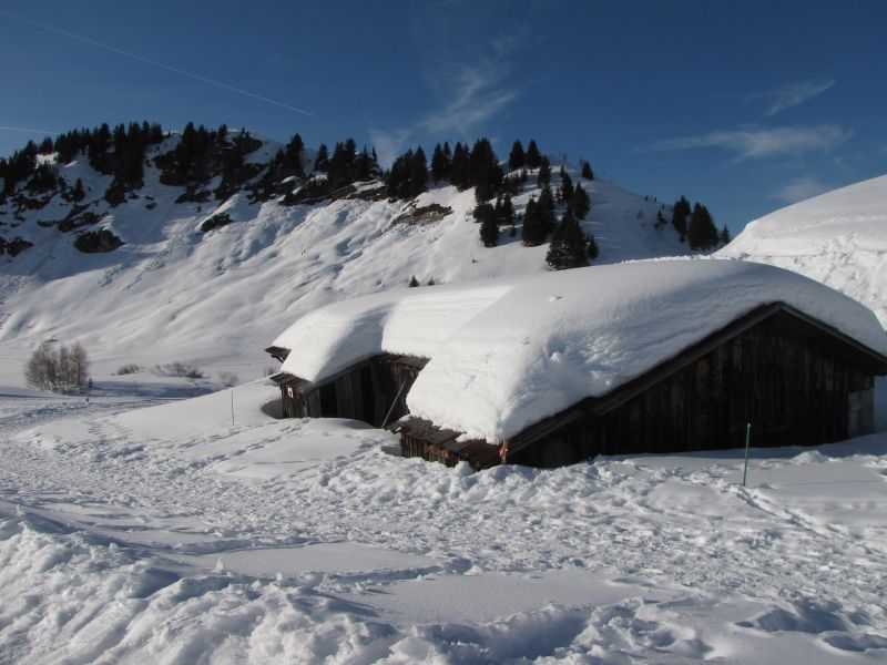 foto 16 Alquiler vacacional entre particulares Samons appartement Rdano Alpes Alta Saboya