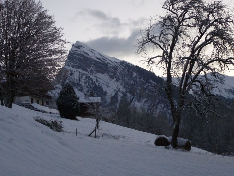 foto 19 Alquiler vacacional entre particulares Samons chalet Rdano Alpes Alta Saboya Vistas desde el alojamiento