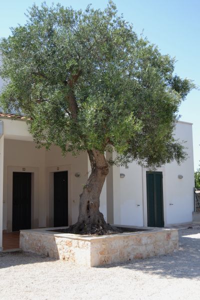 foto 9 Alquiler vacacional entre particulares Polignano a Mare appartement Apulia Bari (provincia de) Entrada