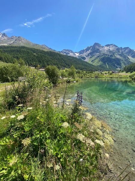 foto 25 Alquiler vacacional entre particulares Plose maison Trentino - Alto Adigio Bolzano (provincia de)