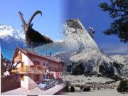 Alquiler casas rurales vacaciones Rdano Alpes: gite n 3326