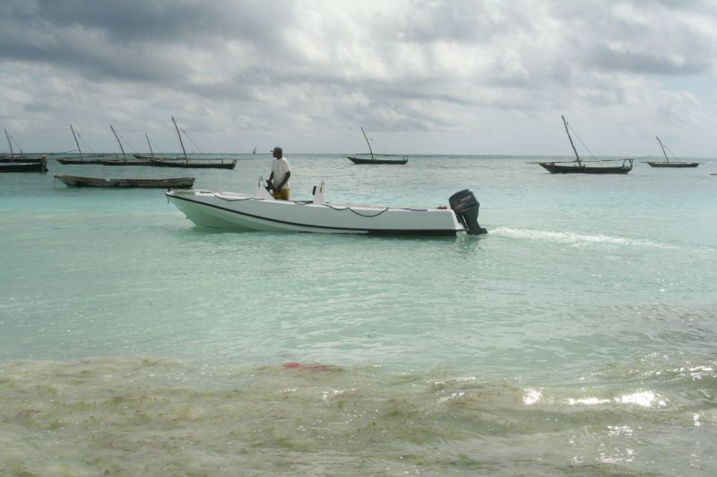 foto 14 Alquiler vacacional entre particulares Kigomani villa Zanzbar (archipilago) Unguja (Zanzibar)