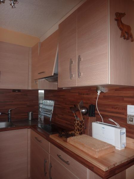 foto 4 Alquiler vacacional entre particulares Besse - Super Besse appartement Auvernia Puy-de-Dme Cocina americana