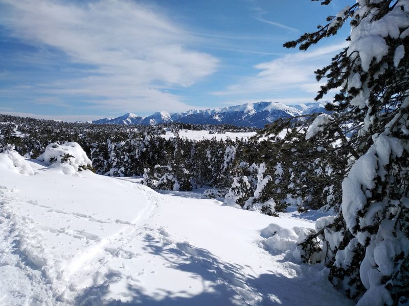 foto 2 Alquiler vacacional entre particulares Font Romeu chalet Languedoc-Roselln Pirineos Orientales Otras vistas