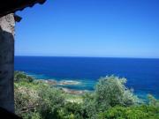 Alquiler vacaciones Costa Mediterrnea Francesa: maison n 40911