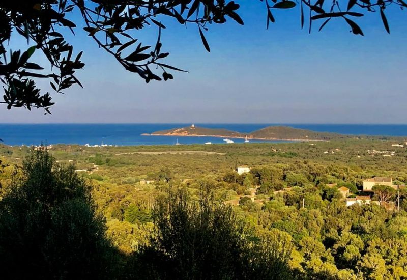 foto 5 Alquiler vacacional entre particulares Ste Lucie de Porto Vecchio maison Crcega Crcega del Sur Vistas desde la terraza