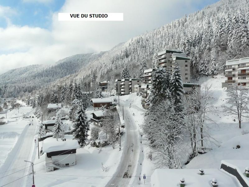 foto 4 Alquiler vacacional entre particulares La Bresse Hohneck studio Lorena Vosgos Vistas desde el alojamiento