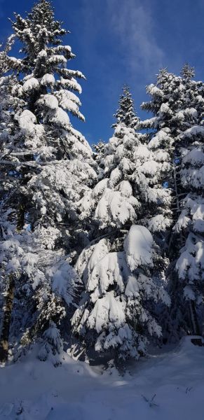 foto 5 Alquiler vacacional entre particulares Grardmer appartement Lorena Vosgos