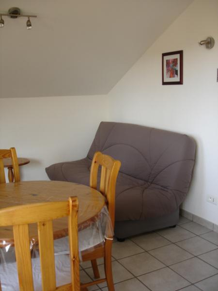 foto 4 Alquiler vacacional entre particulares Grardmer appartement Lorena Vosgos Sala de estar