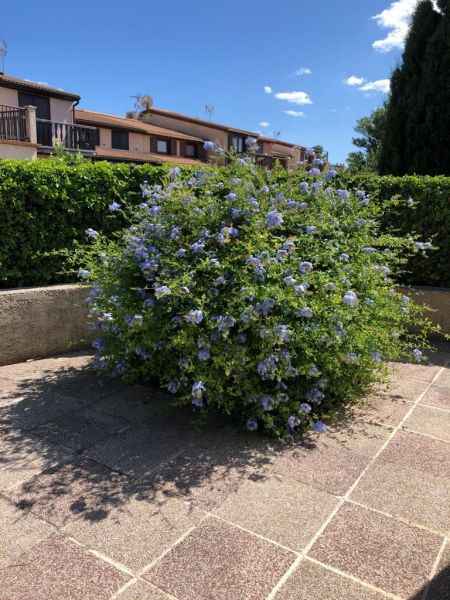 foto 17 Alquiler vacacional entre particulares Cap d'Agde bungalow Languedoc-Roselln Hrault Terraza