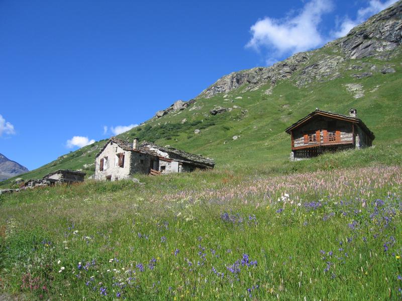 foto 20 Alquiler vacacional entre particulares Bonneval sur Arc studio Rdano Alpes Saboya Otras vistas