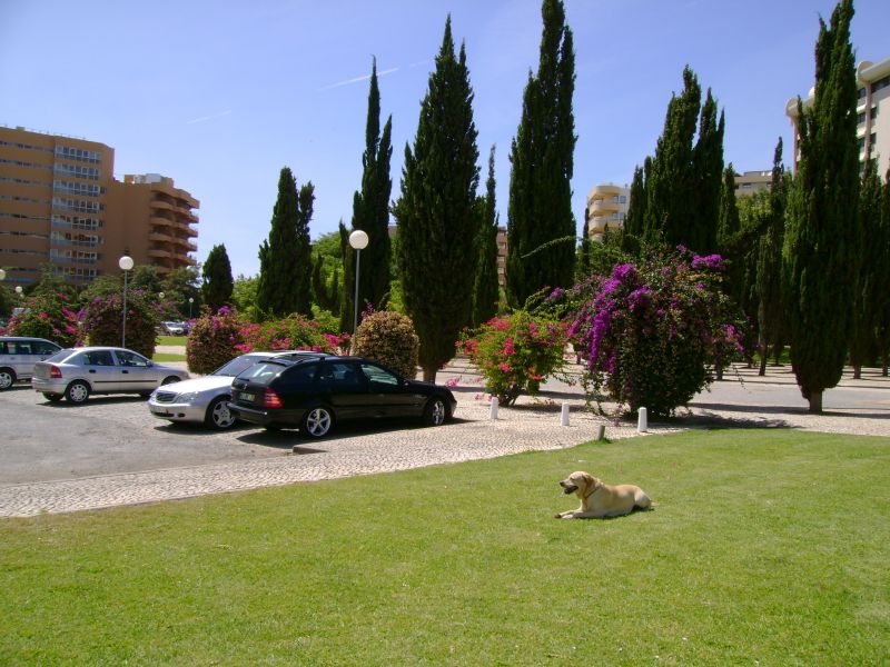 foto 18 Alquiler vacacional entre particulares Vilamoura appartement Algarve  Vistas de las proximidades