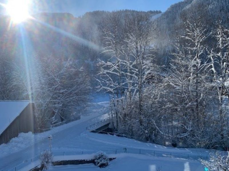 foto 0 Alquiler vacacional entre particulares Bernex appartement Rdano Alpes Alta Saboya Vistas desde el alojamiento