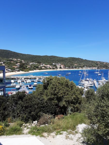 foto 8 Alquiler vacacional entre particulares Porto Pollo maison Crcega Crcega del Sur Vistas desde la terraza