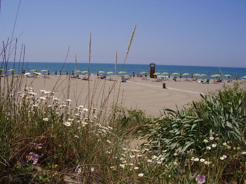 foto 0 Alquiler vacacional entre particulares Principina a Mare appartement Toscana Grosseto (provincia de) Otras vistas