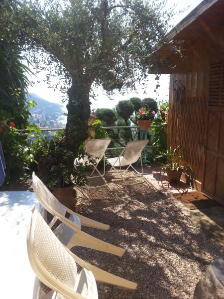 foto 5 Alquiler vacacional entre particulares Menton gite Provenza-Alpes-Costa Azul Alpes Martimos Patio