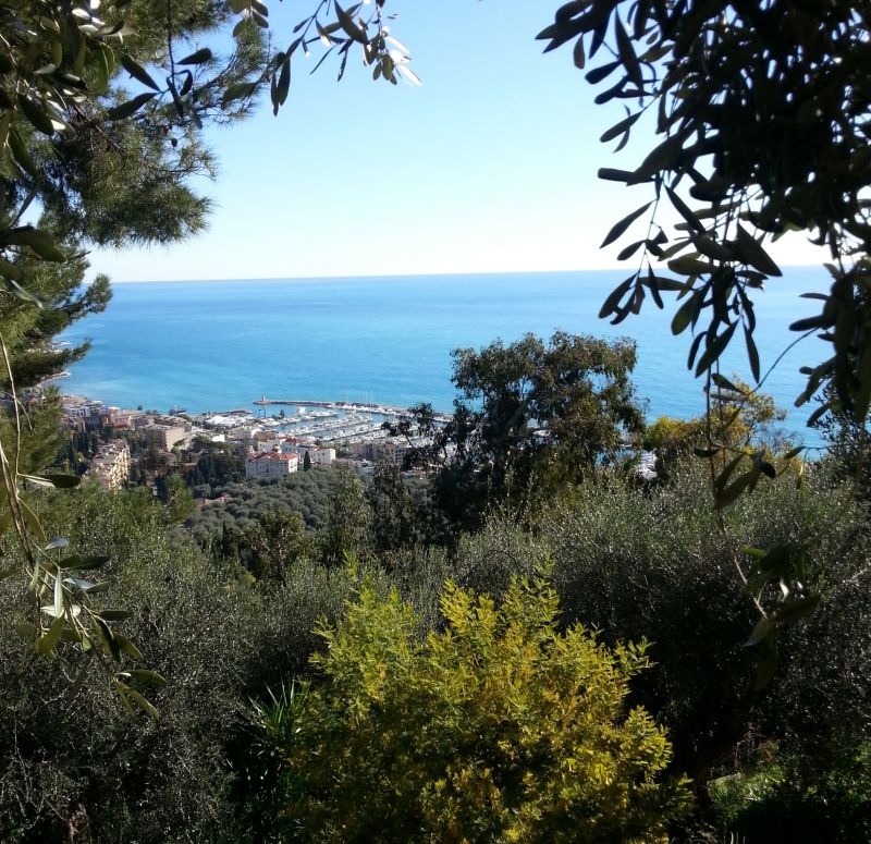 foto 1 Alquiler vacacional entre particulares Menton gite Provenza-Alpes-Costa Azul Alpes Martimos Vistas desde el alojamiento