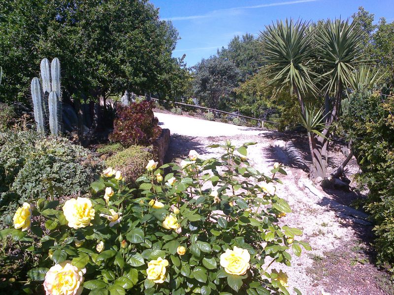 foto 10 Alquiler vacacional entre particulares Loul maison Algarve  Jardn