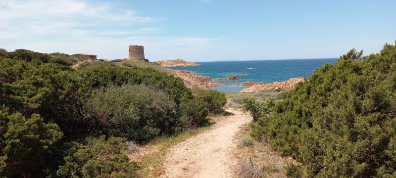 foto 25 Alquiler vacacional entre particulares Isola Rossa studio Cerdea Olbia Tempio (provincia de) Otras vistas