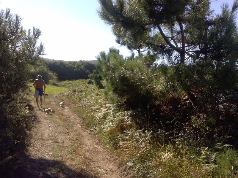 foto 7 Alquiler vacacional entre particulares Ribeira maison Galicia A Corua (provincia de)