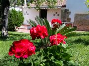 Alquiler vacaciones Palermo (Provincia De): studio n 56253