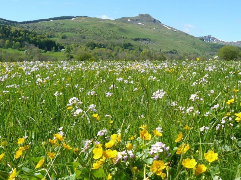 foto 26 Alquiler vacacional entre particulares Le Lioran gite Auvernia Cantal Vistas de las proximidades