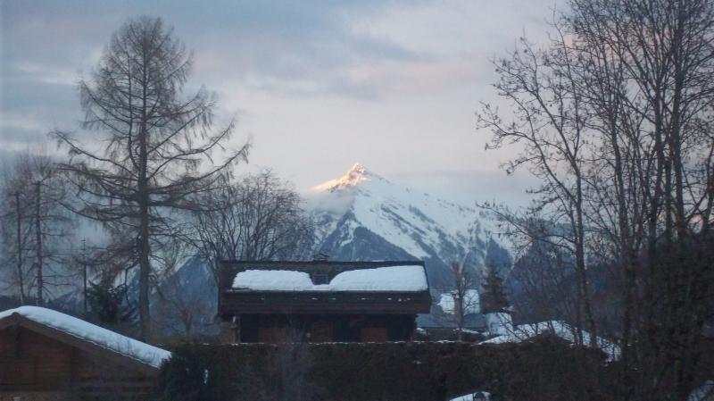 foto 6 Alquiler vacacional entre particulares Praz de Lys Sommand studio Rdano Alpes Alta Saboya Vistas desde el balcn