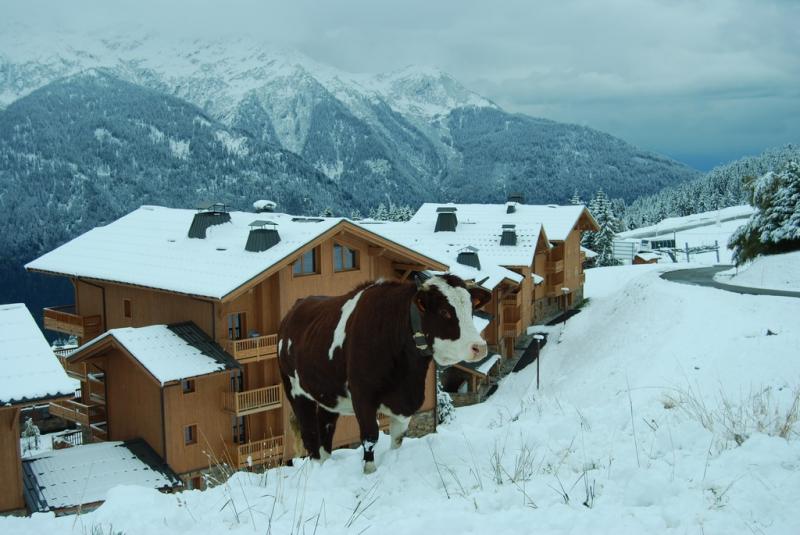 foto 7 Alquiler vacacional entre particulares Les Saisies appartement Rdano Alpes Saboya