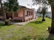 Alquiler en la costa Sassari (Provincia De): villa n 59944