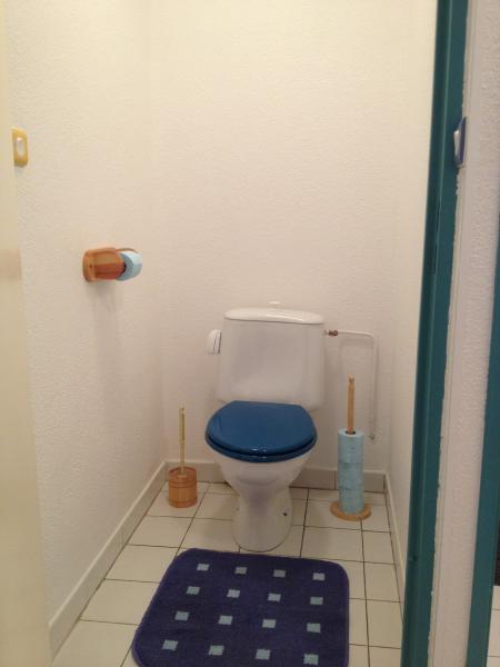 foto 3 Alquiler vacacional entre particulares Cap d'Agde appartement Languedoc-Roselln Hrault WC separado