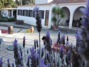 Alquiler casas rurales vacaciones Portugal: gite n 61769
