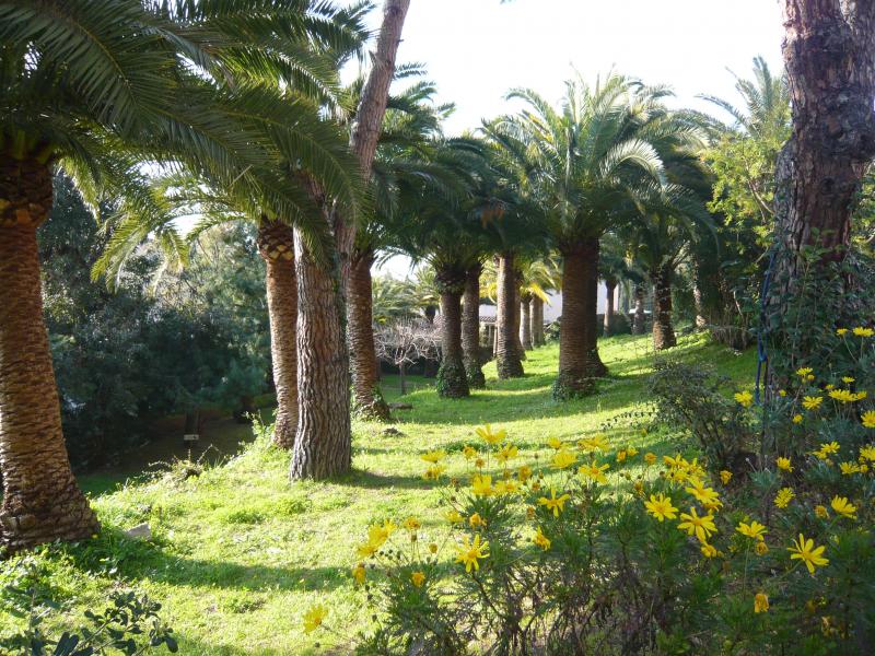 foto 3 Alquiler vacacional entre particulares Cannes appartement Provenza-Alpes-Costa Azul Alpes Martimos Jardn