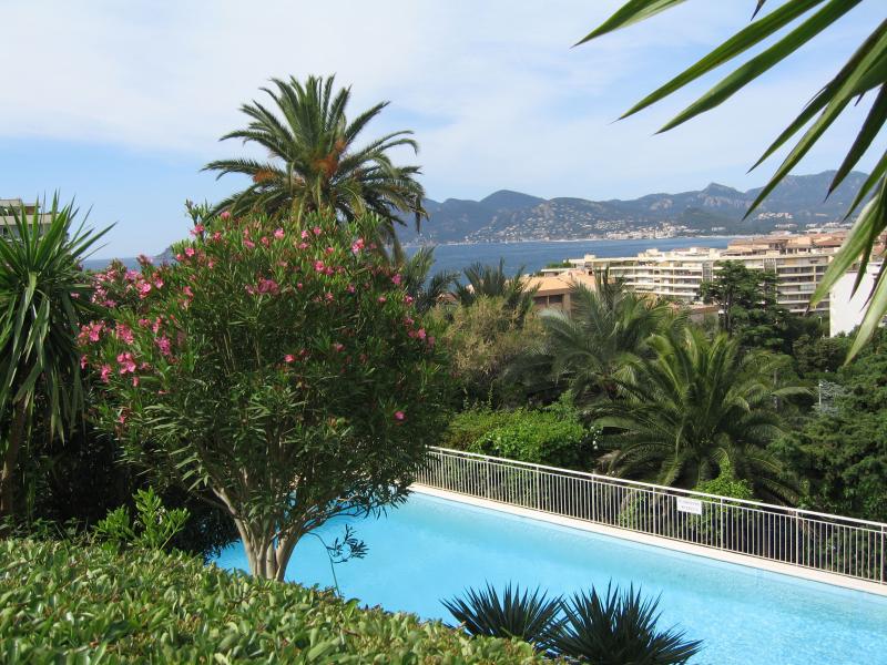 foto 6 Alquiler vacacional entre particulares Cannes appartement Provenza-Alpes-Costa Azul Alpes Martimos Piscina