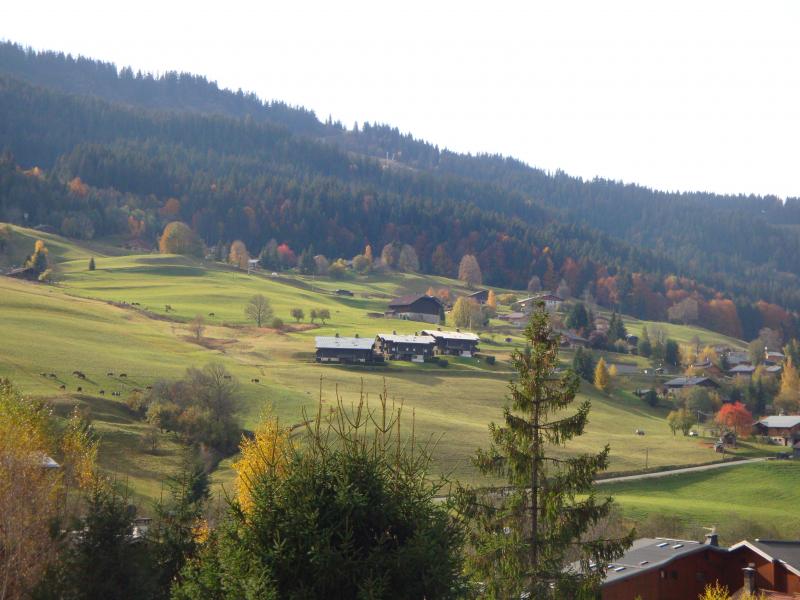 foto 6 Alquiler vacacional entre particulares Praz sur Arly appartement Rdano Alpes Alta Saboya Vistas desde el balcn