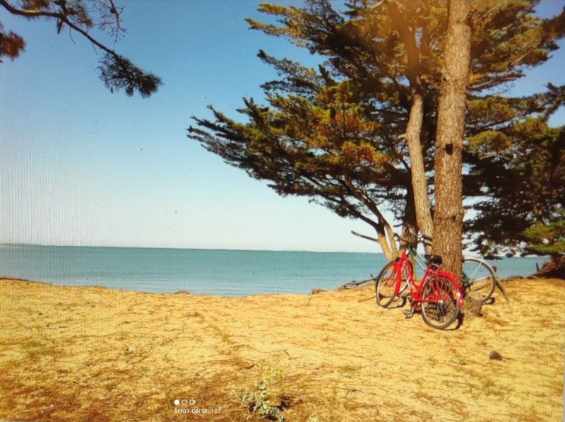 foto 8 Alquiler vacacional entre particulares Saint Georges d'Olron maison Poitou-Charentes Charente-Maritime Playa