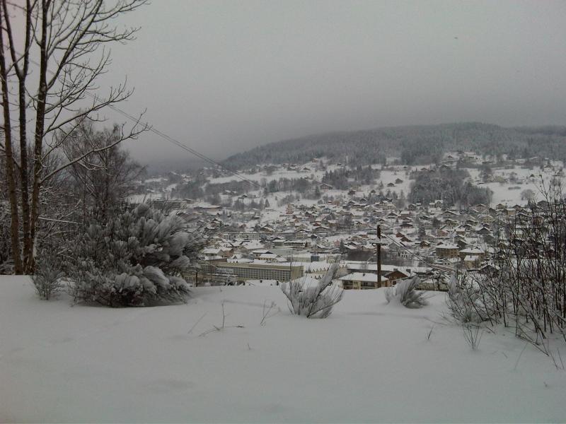 foto 11 Alquiler vacacional entre particulares Grardmer appartement Lorena Vosgos Vistas desde el alojamiento