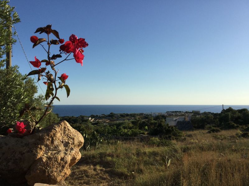 foto 17 Alquiler vacacional entre particulares Santa Maria di Leuca appartement Apulia Lecce (provincia de) Vistas de las proximidades