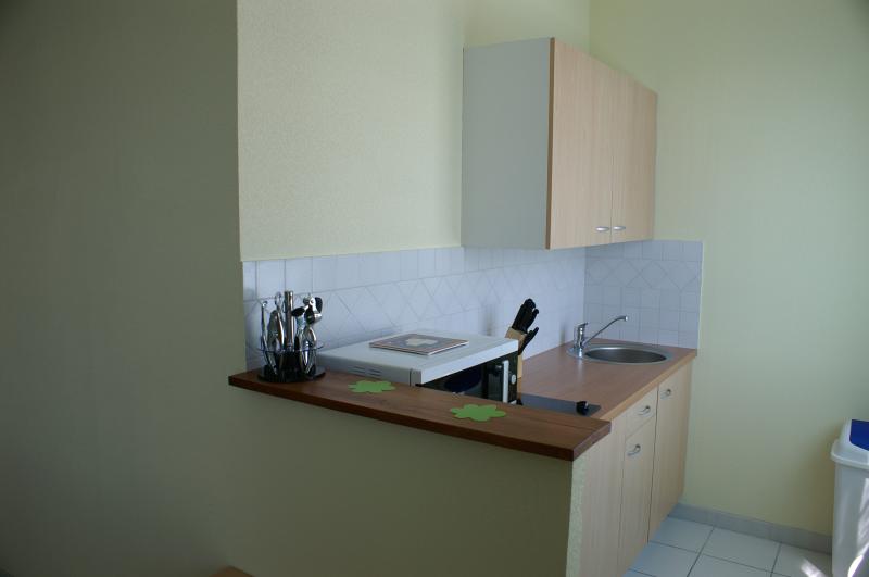 foto 4 Alquiler vacacional entre particulares Concarneau studio Bretaa Finisterre Kitchenette