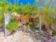 Alquiler villas vacaciones: villa n 109501