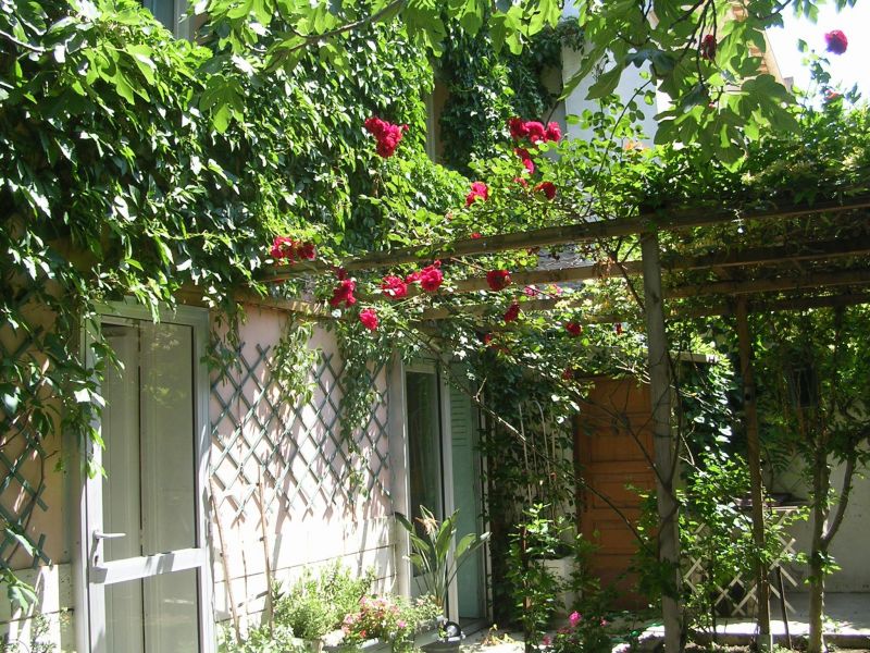 foto 15 Alquiler vacacional entre particulares Perpignan maison Languedoc-Roselln Pirineos Orientales Vistas desde la terraza